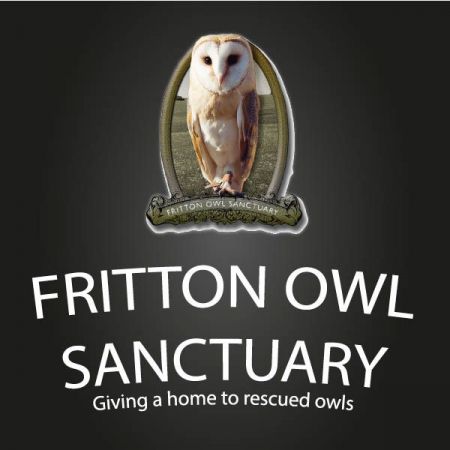 Things to do in Great Yarmouth visit Fritton Owl Sanctuary