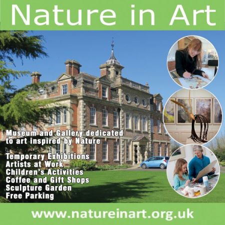 Things to do in Gloucester visit Nature in Art