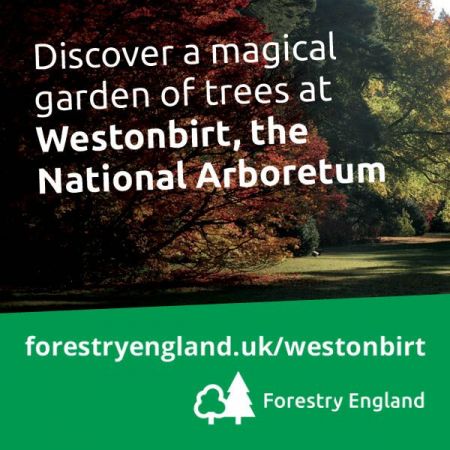 Things to do in Gloucester visit Westonbirt, The National Arboretum