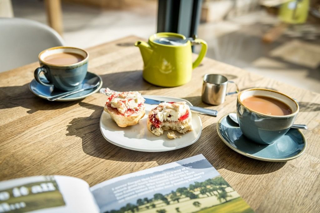 Things to do in Gloucester Visit Cotswold Farm Park