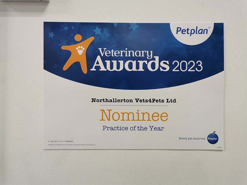 Things to do in Northallerton Visit Vets4Pets