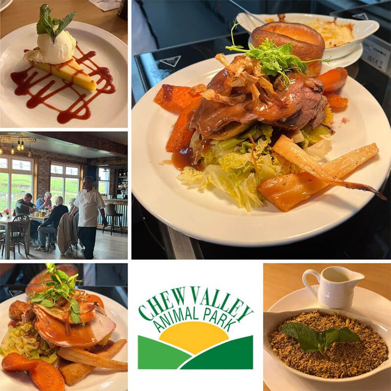 Things to do in Bristol Visit Chew Valley Animal Park