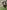 Little Paddocks Dog Field Picture 4