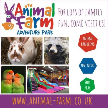 Things to do in Burnham-on-Sea visit Animal Farm Adventure Park
