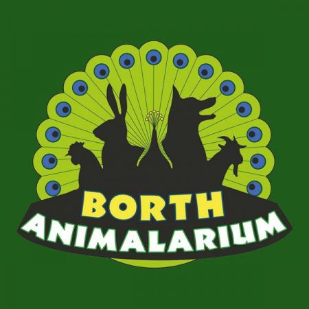 Things to do in Aberystwyth visit The Animalarium