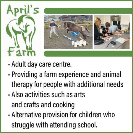 Things to do in Andover visit April's Farm Dog Walking Field