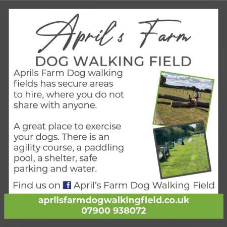Things to do in Andover visit April's Farm Dog Walking Field
