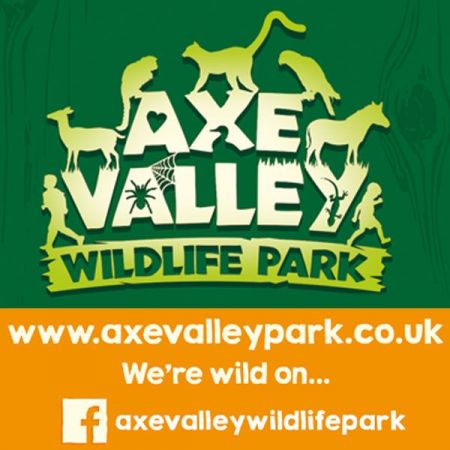 Things to do in Lyme Regis and Bridport visit Axe Valley Wildlife Park
