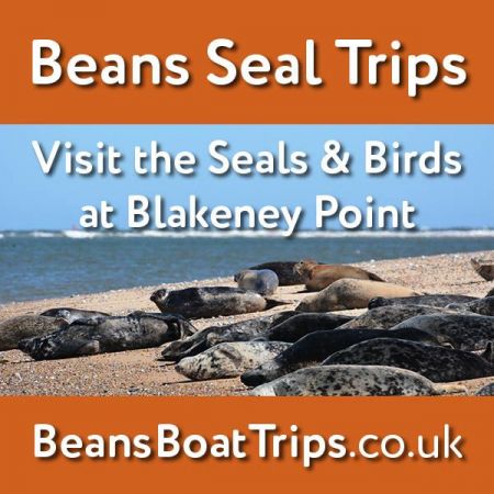 Things to do in Hunstanton visit Beans Boat Trips