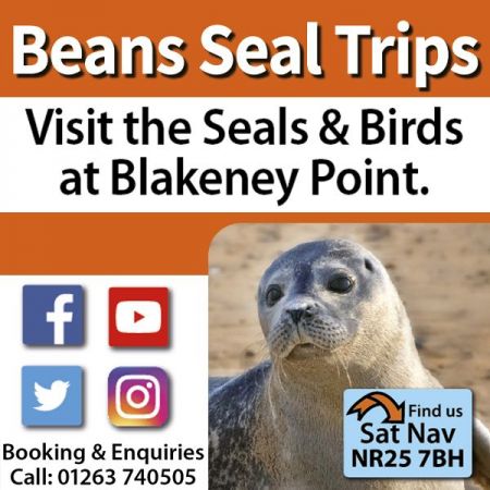 Things to do in Hunstanton visit Beans Boat Trips