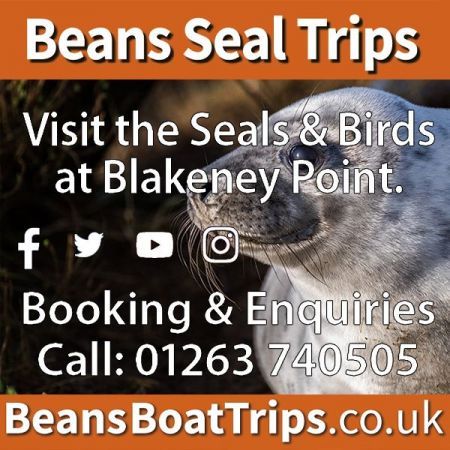 Things to do in Cromer visit Beans Seal Trips
