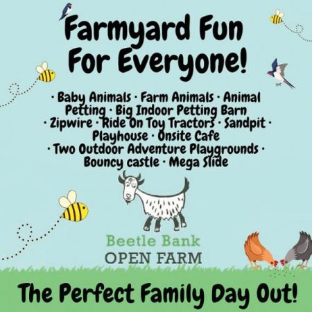 Things to do in Leeds visit Beetle Bank Open Farm