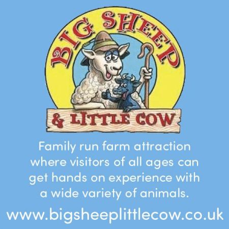 Things to do in Northallerton visit Big Sheep & Little Cow