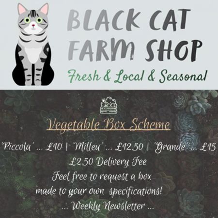 Things to do in St Ives, St Neots & Huntingdon visit Black Cat Farm