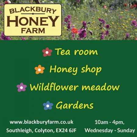 Things to do in Axminster & Seaton visit Blackbury Honey Farm