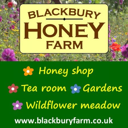 Things to do in Sidmouth & Ottery St Mary visit Blackbury Honey Farm