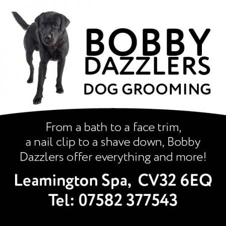 Things to do in Warwick & Royal Leamington Spa visit Bobby Dazzlers Dog Grooming