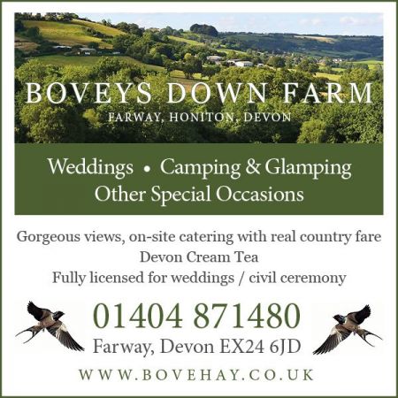 Things to do in Axminster & Seaton visit Boveys Down Farm