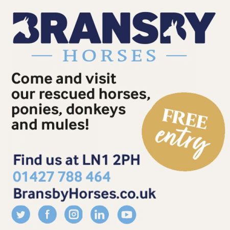 Bransby Horses