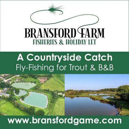 Things to do in Worcester visit Bransford Farm