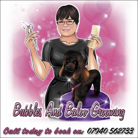 Things to do in Yeovil visit Bubbles and Baloo Grooming