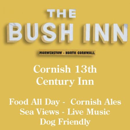 Things to do in Bude visit Bush Inn