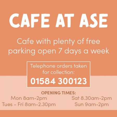Things to do in Ludlow visit Cafe at ASE
