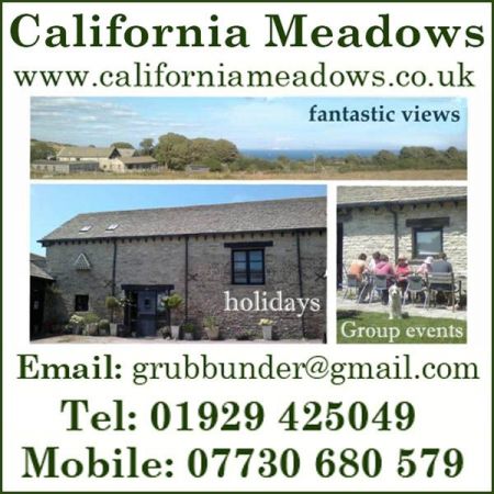 Things to do in Swanage & Wareham visit California Meadow