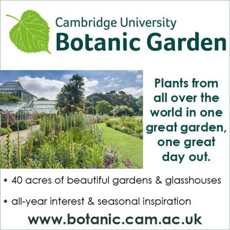 Things to do in Bury St Edmunds visit Cambridge University Botanic Garden