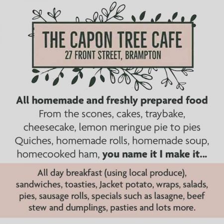 Things to do in Carlisle visit The Capon Tree Cafe
