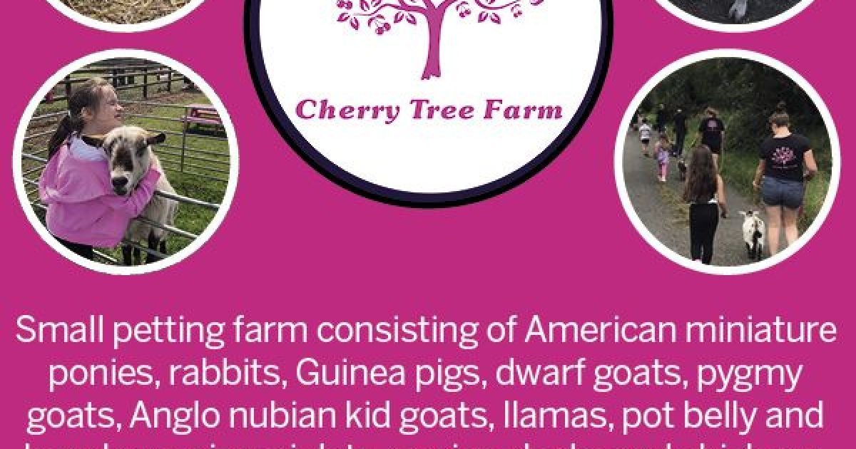 Things to do in Bury St Edmunds Visit Cherry Tree Farm