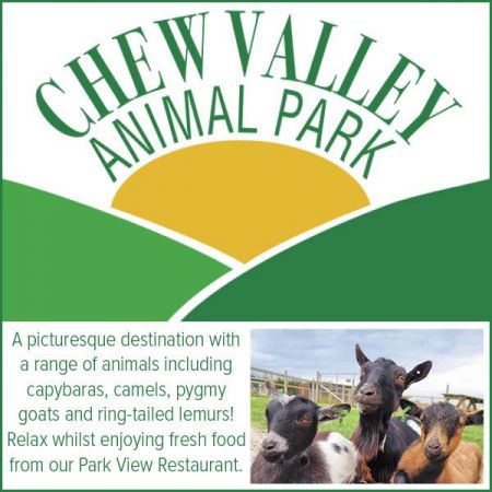Things to do in Bristol visit Chew Valley Animal Park