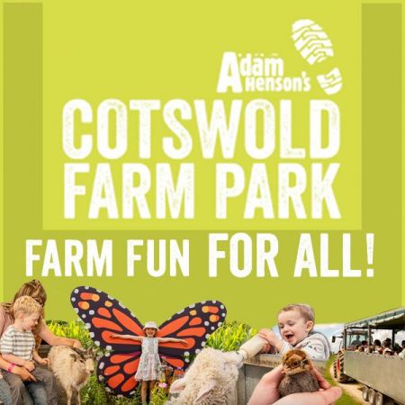 Things to do in Tewkesbury visit Cotswold Farm Park
