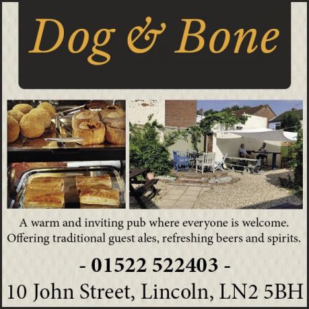 Things to do in Lincoln visit The Dog and Bone