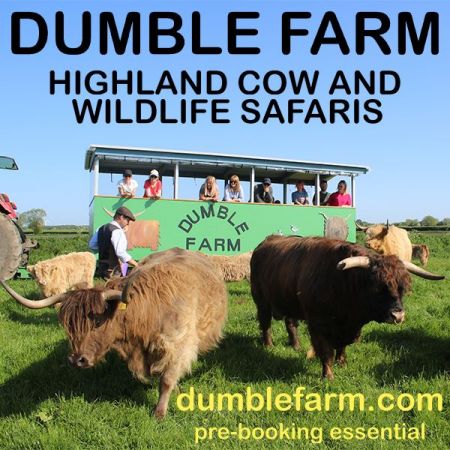 Things to do in Beverley & Market Weighton visit Dumble Farm