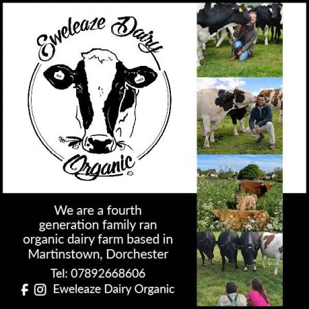 Things to do in Weymouth visit Eweleaze Dairy Organic