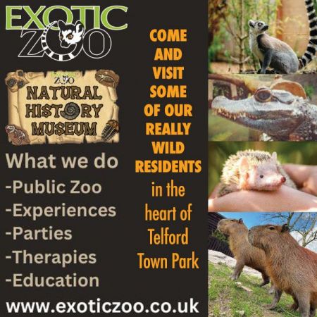 Things to do in Shrewsbury visit Exotic Zoo