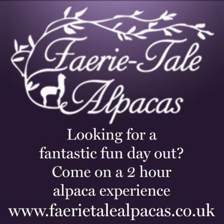 Things to do in Warwick & Royal Leamington Spa visit Faerie Tale Alpacas