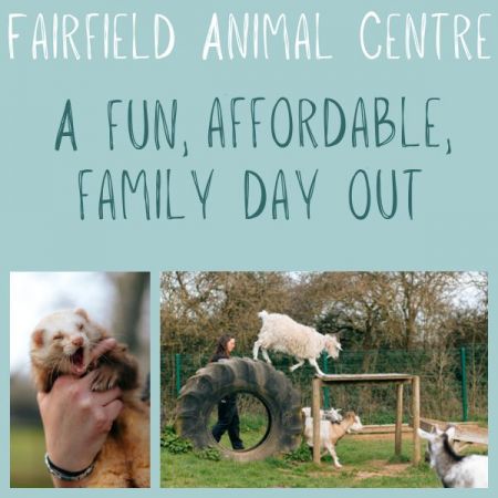 Things to do in Trowbridge visit Fairfield Animal Centre