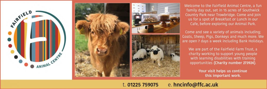 Things to do in Frome and Warminster visit Fairfield Farm Trust