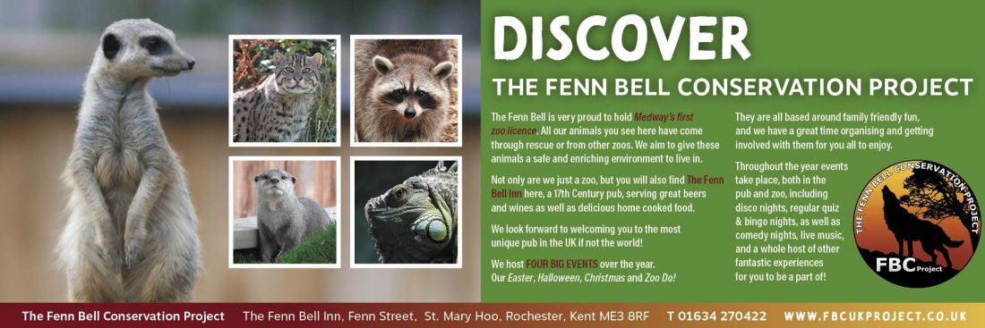 Things to do in Rochester & Chatham visit The Fenn Bell Conservation Project