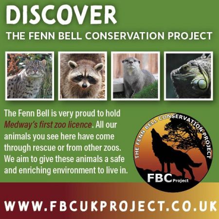 The Fenn Bell Conservation Project