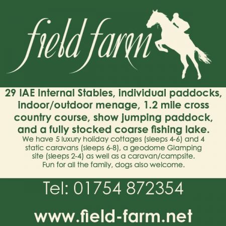 Things to do in Cleethorpes visit Field Farm