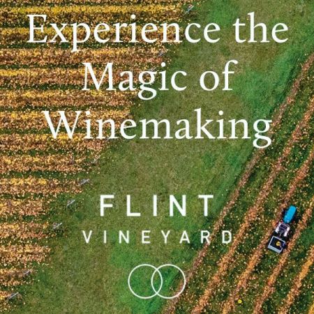 Things to do in Aldeburgh & Southwold visit Flint Vineyard