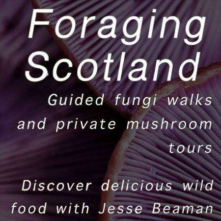 Things to do in Dumfries visit Foraging Scotland