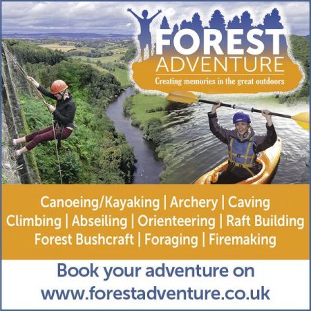 Things to do in Tetbury & Malmesbury visit Forest Adventure