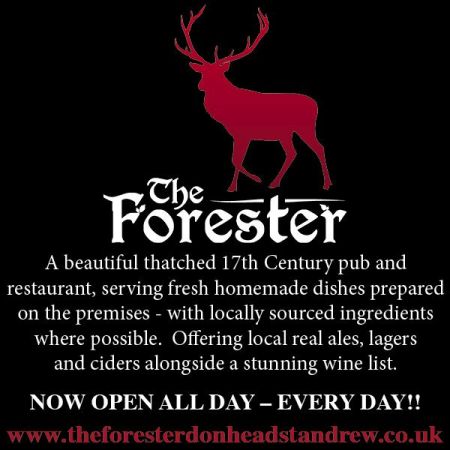 Things to do in Shaftesbury & Gillingham visit The Forester Inn