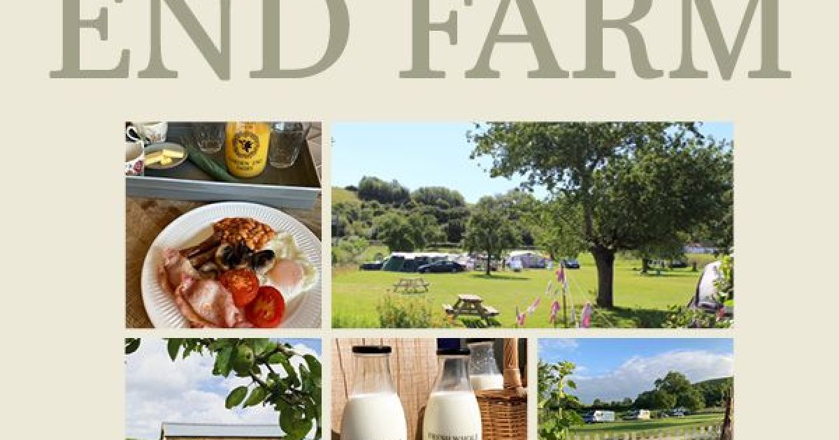 Things to do in BurnhamonSea Visit Garden End Farm
