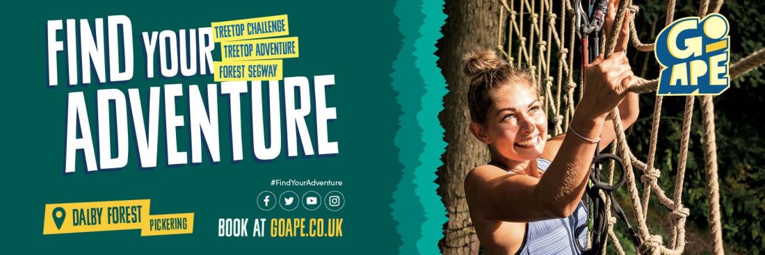 Things to do in Redcar, Marske & Saltburn-by-the-Sea visit Go Ape Dalby