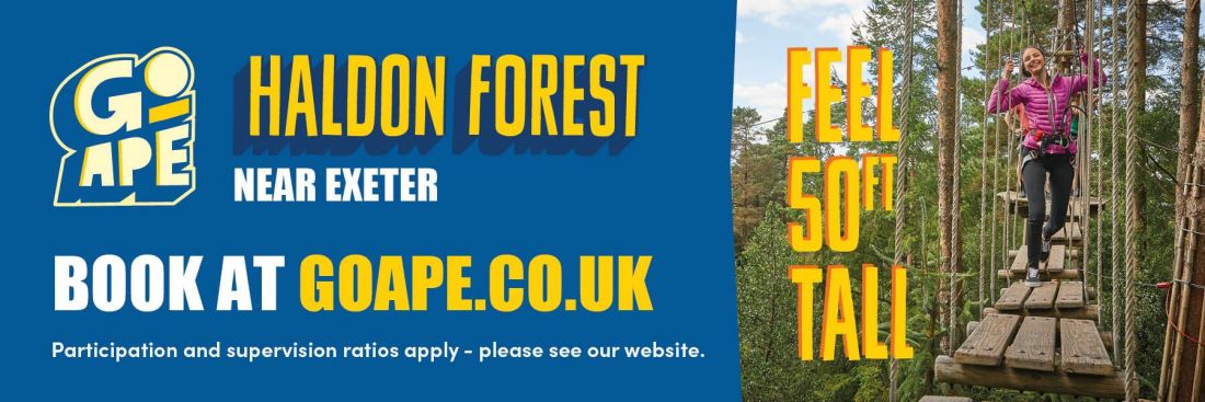 Things to do in Exmouth & Budleigh Salterton visit Go Ape Haldon Forest